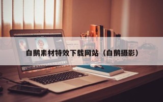 南京白鹅素材特效下载网站（白鹅摄影）